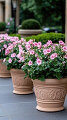 Colorful geraniums in flower pots create a vibrant atmosphere on the patio of a historic Spanish villa during a sunny day