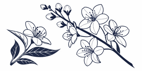 Elegant Jasmine Flower Silhouettes – Black and White Botanical Vector Illustration.
