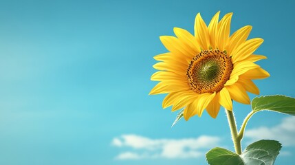 Obraz premium Bright sunflower stands tall against a clear blue sky, a vibrant symbol of summer's beauty.