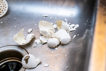 Pile of crushed egg shells in a stainless steel sink