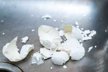 Pile of crushed egg shells in a stainless steel sink