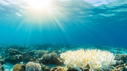 Naklejka premium Underwater