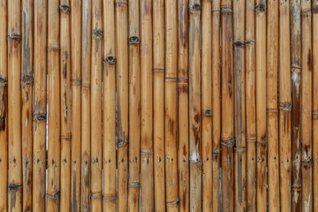 Panorama of Brown old Bamboo fence texture and background seamless
