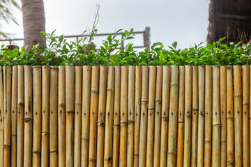 bamboo fence against the sky and green bushes