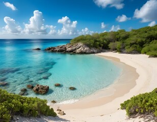 Obraz premium Tropical beach with palm trees and turquoise water under a clear blue sky
