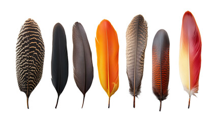 A collection of vibrant and varied feathers showcasing different colors, textures, and patterns; representing nature's artistry and avian diversity