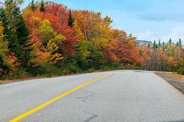 A view of autumn foliage approaching a bend in the road in the Bay of Fundy, New Brunswick in the fall
