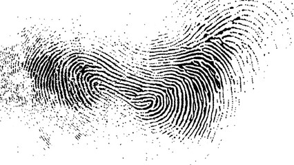 Vector style white and black fingerprint texture design. Vector black fingerprint on white Transparent background.
