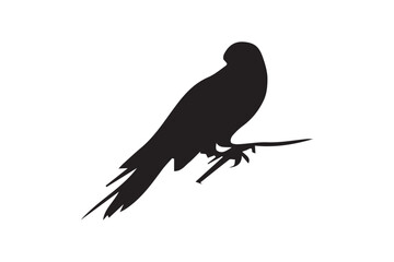 Bird with Vector (11).eps