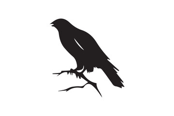 Bird with Vector  (14).eps
