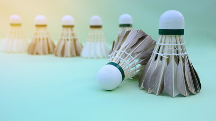 A dark colored shuttlecock resting on a light green surface, with a soft focus background creating depth.