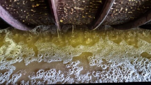 The winemaking process involves harvesting, crushing, fermentation, aging, and bottling. Grapes are carefully selected and processed to develop rich flavours, resulting in wines that reflect tradition