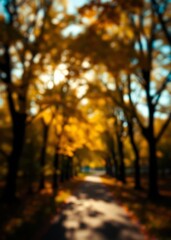 Blurred background of a park in autumn with trees and sunlight abstract blurred nature scene of a beautiful sunny day in the city during fall soft focus with a shallow depth of field bokeh red bokeh a