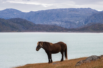 Hiking from Tasiusak to Qassiarsuk in south Greenland