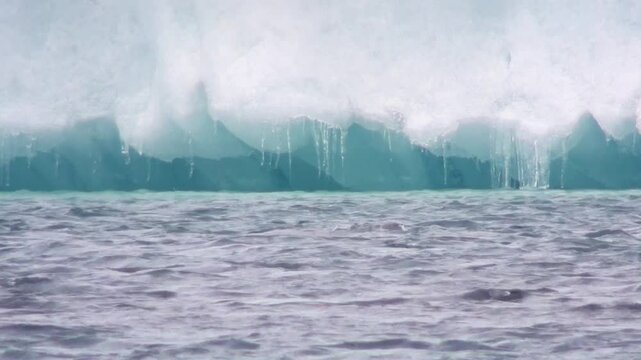 Robben spielen im Eissee, Gletscherlagune, J&ouml;kuls&aacute;rl&oacute;n in Island, Phoca vitulina
