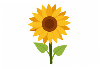 Obraz premium sunflower on white background