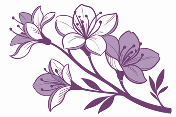 vector illustration of a pink flower