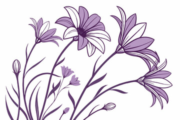 vector illustration of flowers