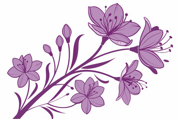 vector illustration of a pink flower