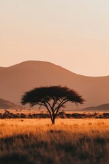 Obraz premium Tree in savanna at dusk. Golden grass with distant hills create serene scene