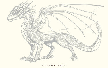 Editable Dragon Vector Engraving Illustration