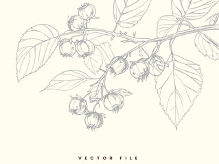 Modern Vector Illustration Artwork