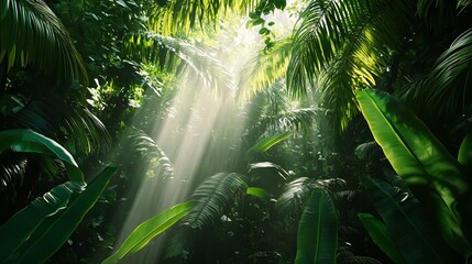 Lush green forest with sunlight filtering through leaves highlighting nature conservation and tranquility. Generative AI