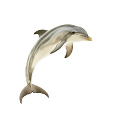 Fototapeta premium Energetic bottlenose dolphin leaping in vivid highresolution photograph