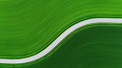 Obraz premium Drone shot of a winding country road dividing bright green fields, geometric agricultural landscape, smooth curves and natural symmetry