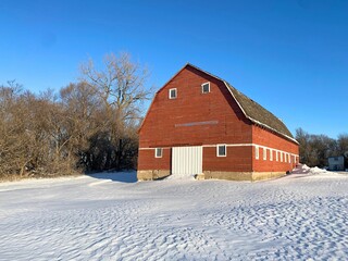 Hidden barn in a grove of trees on an old dirt road
