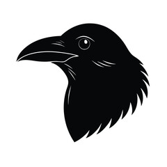 Crow Head Silhouette Vector and Black Crow Bird Head Illustration Design