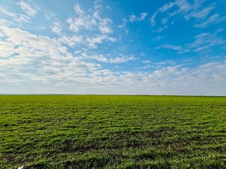 green field and blue sky