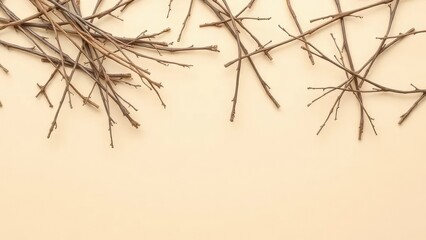 Dry twigs scattered on a beige colored background, branches, neutral
