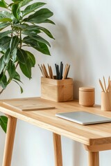 Obraz premium Wooden desk with laptop and plant. Minimalist workspace for study or remote work
