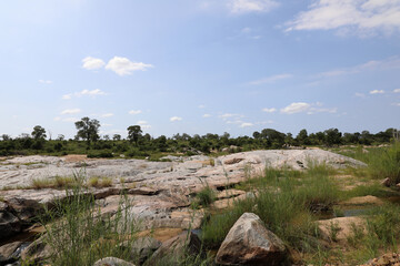 Afrikanischer Busch - Krügerpark - Biyamiti River / African Bush - Kruger Park - Biyamiti River /