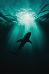 Obraz premium Shark swimming up towards sunbeams in the blue ocean for conservation needs