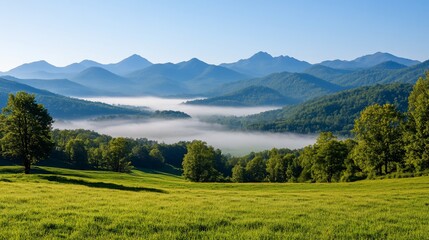 Fototapeta premium Mountain valley mist sunrise landscape, nature background