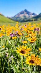 Obraz premium Mountain wildflowers in summer meadow
