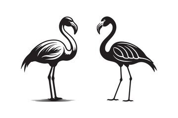Minimalist Flamingo Line Art Wildlife Animal