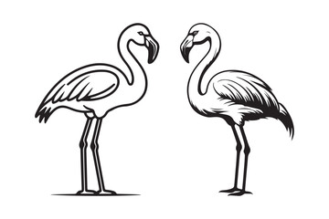 Minimalist Flamingo Line Art Wildlife Animal