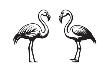 Minimalist Flamingo Line Art Wildlife Animal