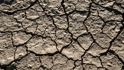 Rugged Cracked Stone Texture with Deep Fissures and Natural Shadows – Perfect for Rustic and Natural Designs