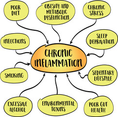 Causes of chronic inflammation, body prolonged immune response to stressors such as poor diet, lack of exercise, environmental toxins, and infections. Infographics sketch.