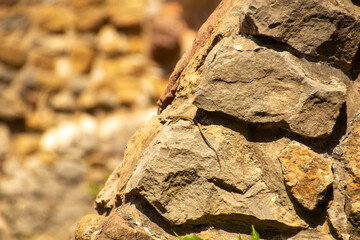 Burg mauer