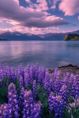 Fototapeta premium Beautiful colorful wild flowers with snow mountain in Spring.