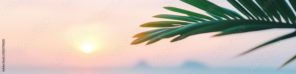 Poster a palm tree leaf is shown with the sun in the background. the image has a calm and peaceful mood, wi