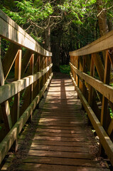 A wooden footbridge crossing over a creek in a valley forest during a sunny summers day
