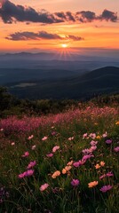 Fototapeta premium sunset, cosmos flowers, beautiful nature photography, cinematic with beautiful light and shadow, dark sky, flower field, distant mountains, warm tones, romantic, delicate details, natural environment
