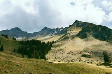 Cloudy day in the mountains with alpine forests and grass land