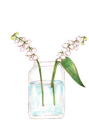 lily of the valley